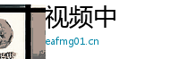 视频中 Logo